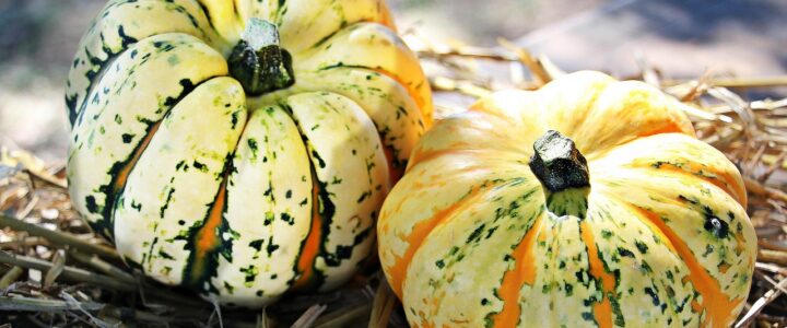 Aktuelle Broschüre: Umfassender Leitfaden zu den Ernährungsempfehlungen der DGE Aktuelle Broschüre: Umfassender Leitfaden zu den Ernährungsempfehlungen der DGE