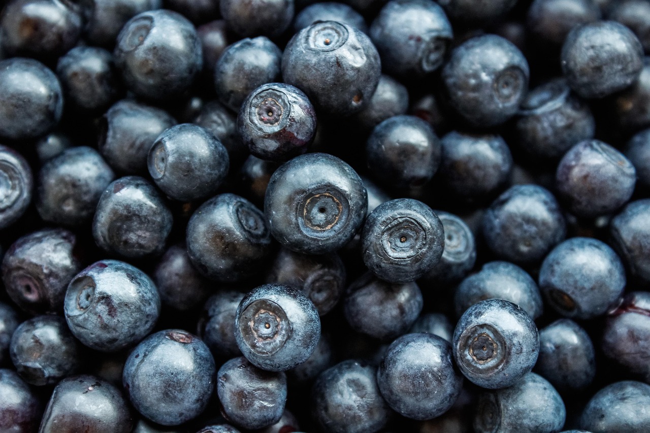 ernährungsempfehlungen für eine gesunde und ausgewogene ernährung zur förderung des wohlbefindens und der langfristigen gesundheit.