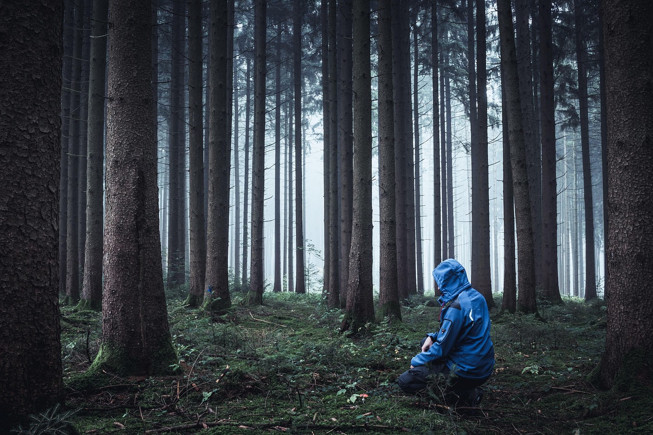 entdecken sie überlebenstechniken und tipps, um in der wildnis sicher und vorbereitet zu sein. lernen sie alles über survival-ausrüstung, notfallstrategien und selbstschutz.