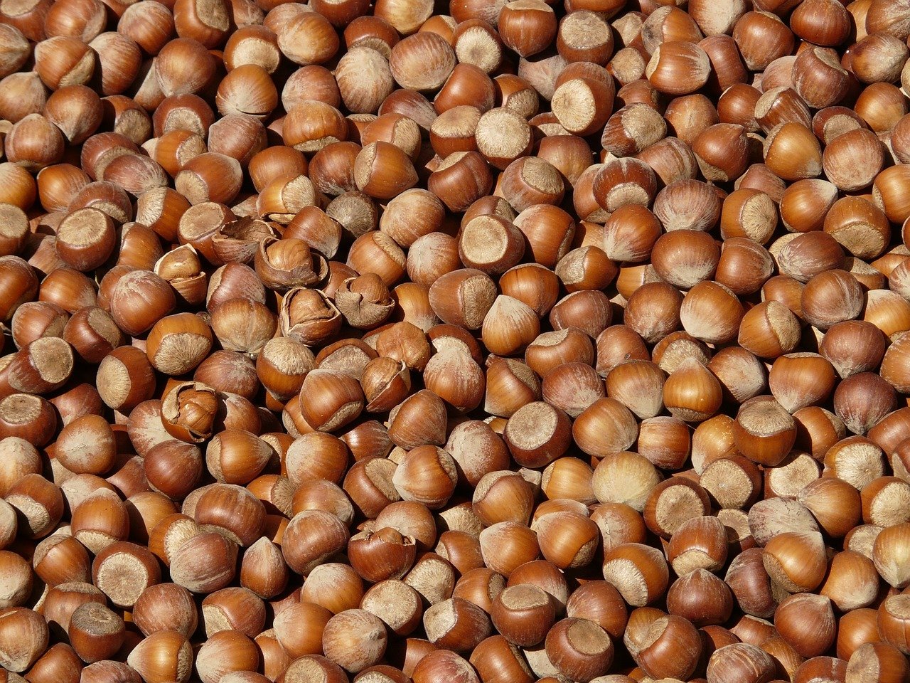 entdecken sie gesunde snacks, die sowohl köstlich als auch nahrhaft sind. perfekt für einen schnellen energiekick oder als gesunde zwischenmahlzeit. genießen sie eine vielzahl von schmackhaften optionen, die ihren heißhunger stillen und ihren körper mit wichtigen nährstoffen versorgen.