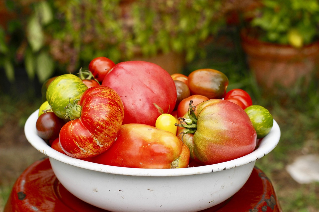 entdecken sie unsere sommerküche – die perfekte lösung für das kochen im freien und gesellige grillabende bei schönem wetter.