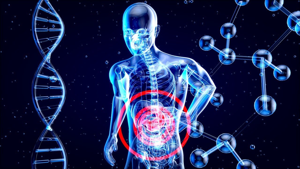 entdecken sie die gesundheit und das wohlbefinden, die ein ausgewogenes mikrobiom im darm bieten kann. lernen sie, wie sie ihre darmflora optimieren können, um das immunsystem zu stärken und die verdauung zu verbessern.