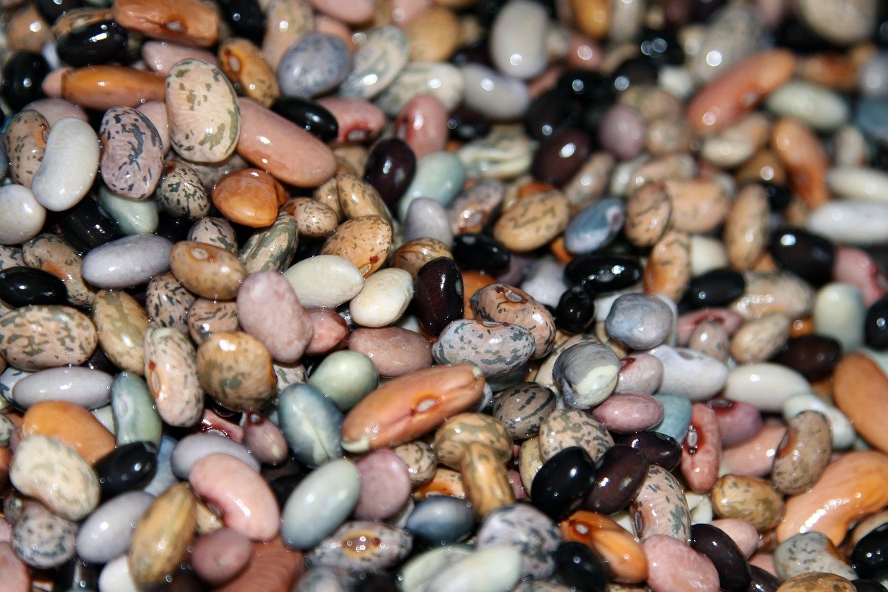 entdecken sie die vielfalt und die gesundheitlichen vorteile von gemüse. lernen sie köstliche rezepte, anbau-tipps und wichtige nährstoffe kennen, die ihre ernährung bereichern.