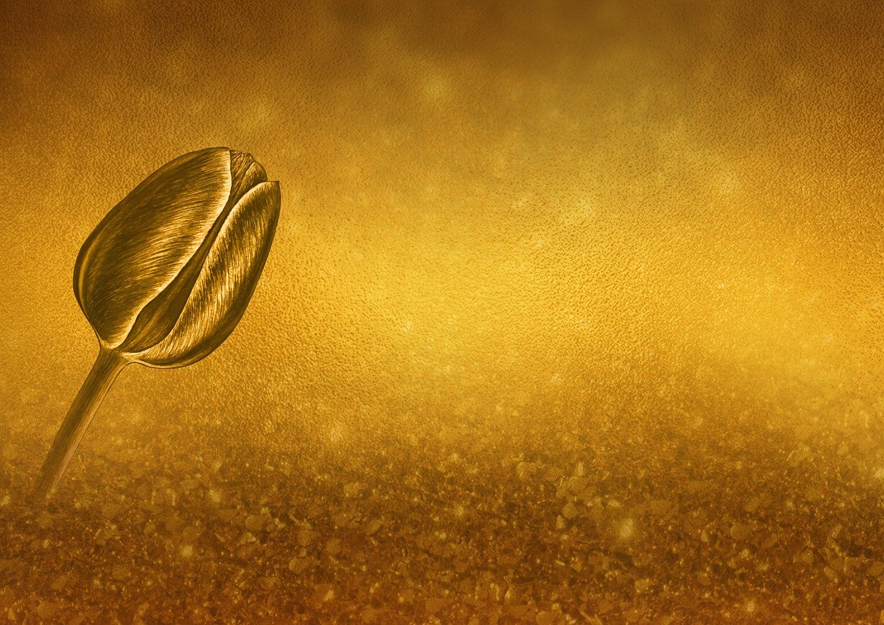 feiern sie den goldenen hochzeitstag mit besonderen momenten und unvergesslichen erinnerungen. entdecken sie tipps und geschenkideen für das 50-jährige ehejubiläum.