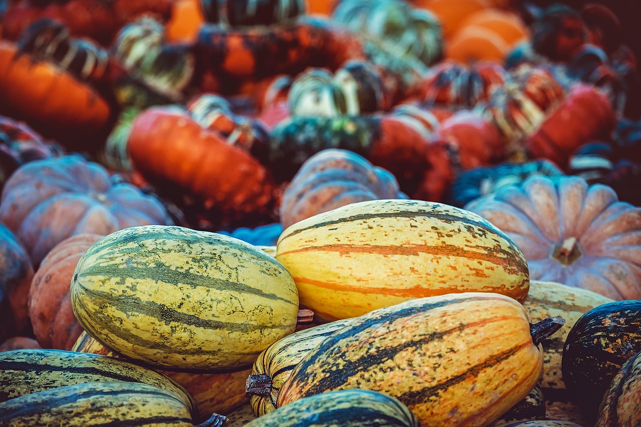entdecken sie frische produkte, regionale spezialitäten und nachhaltige auswahl auf dem harvest market. ihr marktplatz für gesunde ernährung und hochwertige lebensmittel direkt vom erzeuger.