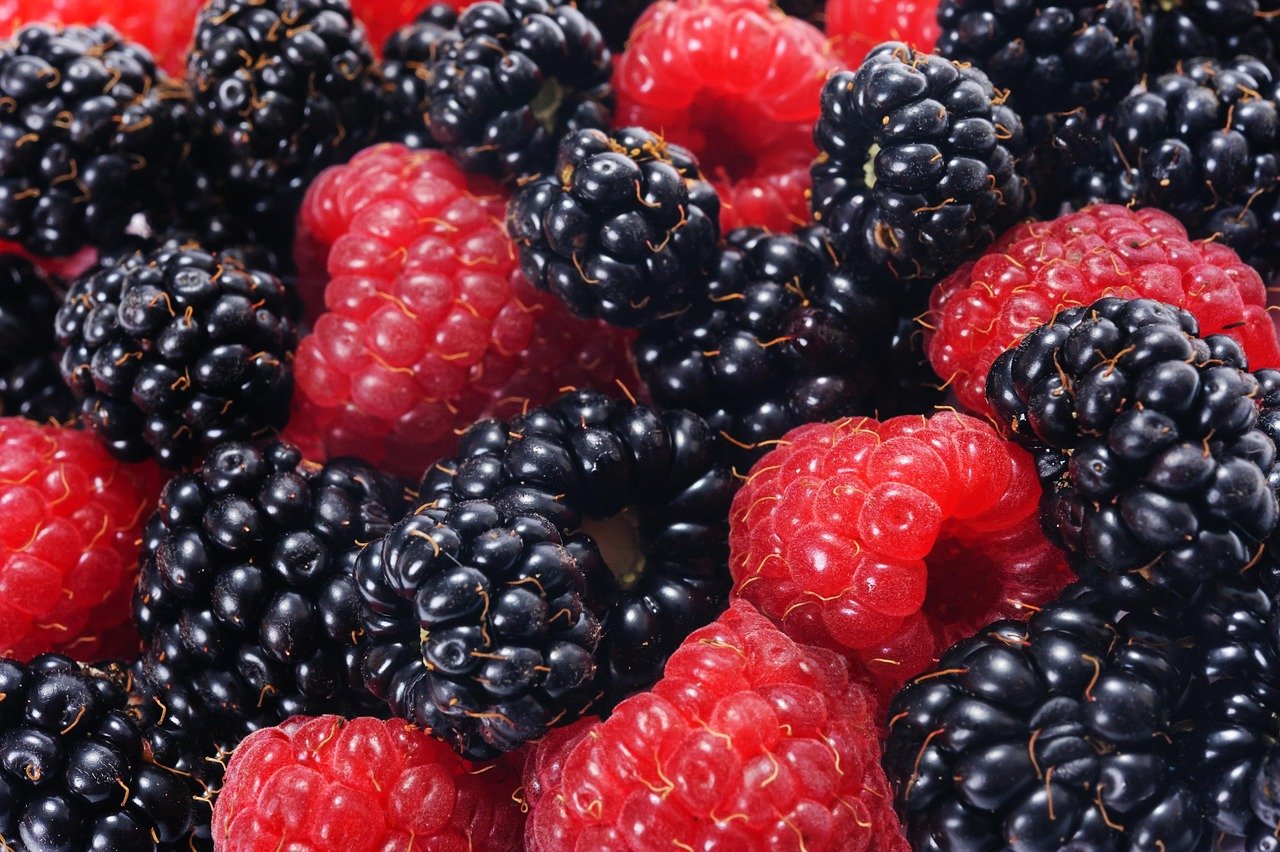 entdecken sie die gesundheitlichen vorteile von konservenfrüchten! diese praktische und nährstoffreiche option bietet eine köstliche möglichkeit, die natürliche süße und die vitamine von früchten das ganze jahr über zu genießen. erfahren sie, wie konservenfrüchte ihre ernährung bereichern können.