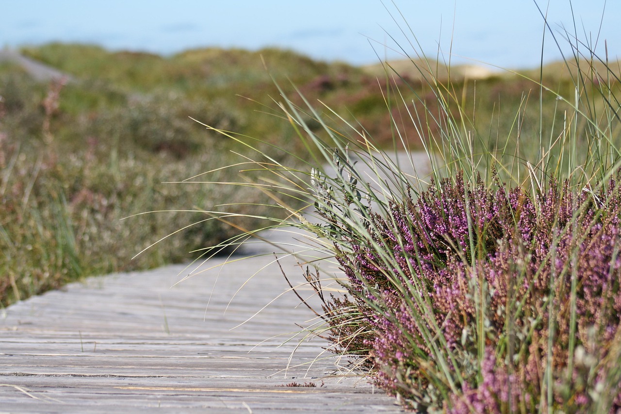 entdecken sie die schönheit der natur beim wandern – erleben sie atemberaubende landschaften, frische luft und unvergessliche abenteuer auf den besten wanderwegen.