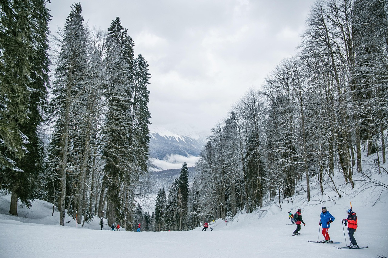 entdecken sie die faszination des skifahrens: tipps zu ausrüstung, technik und den besten skigebieten für unvergessliche winterabenteuer.