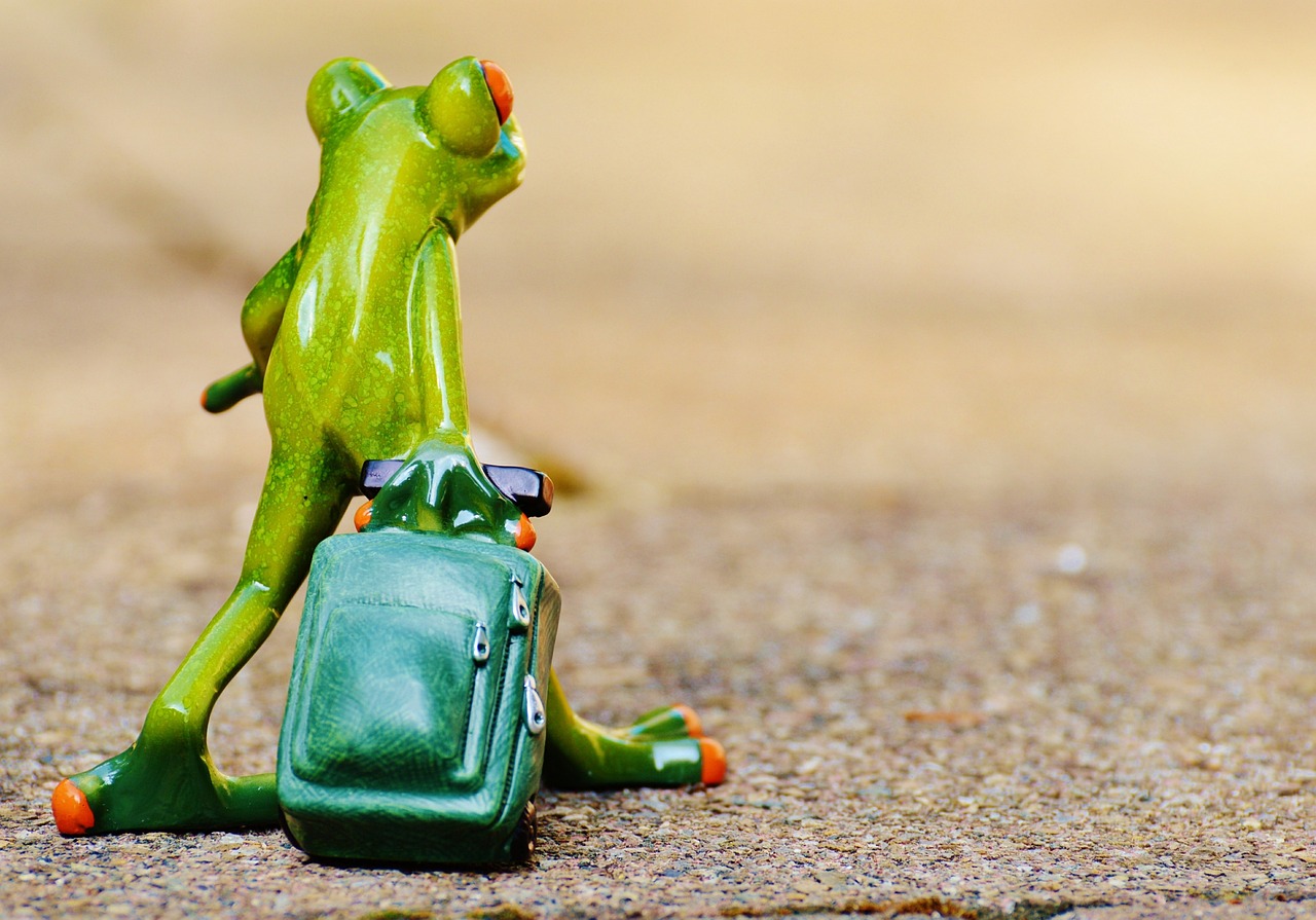 entdecken sie inspirierende reiseziele, hilfreiche tipps und unvergessliche erlebnisse für ihre nächste abenteuerreise.