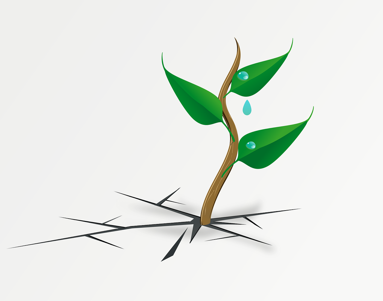 entdecken sie die bedeutung von resilienz – erfahren sie, wie sie innere stärke entwickeln, stress bewältigen und herausforderungen des alltags erfolgreich meistern können. tipps und strategien für mehr psychische widerstandskraft.