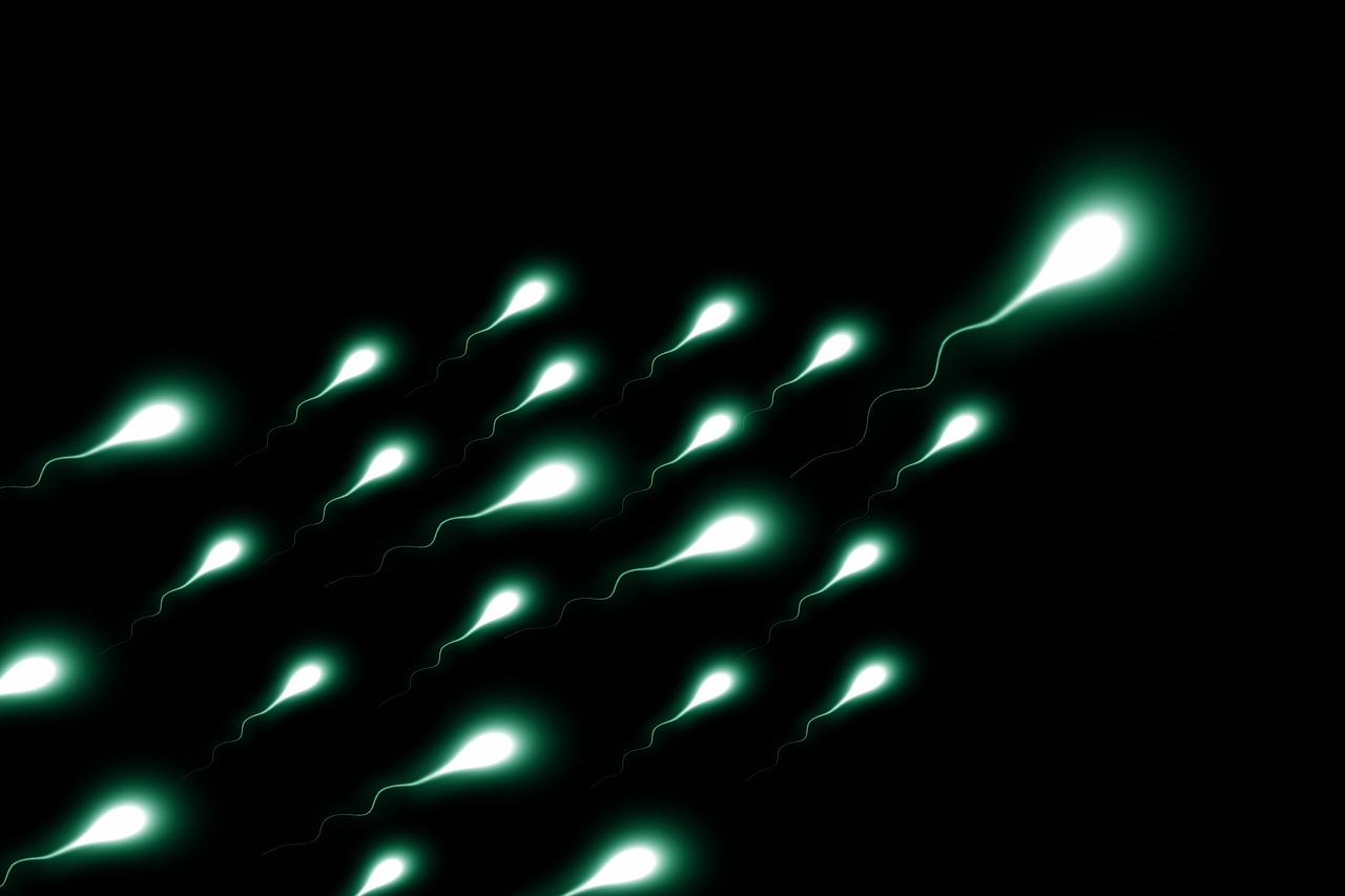 erfahren sie alles wichtige über spermien: funktionen, gesundheit und rolle in der menschlichen fortpflanzung.