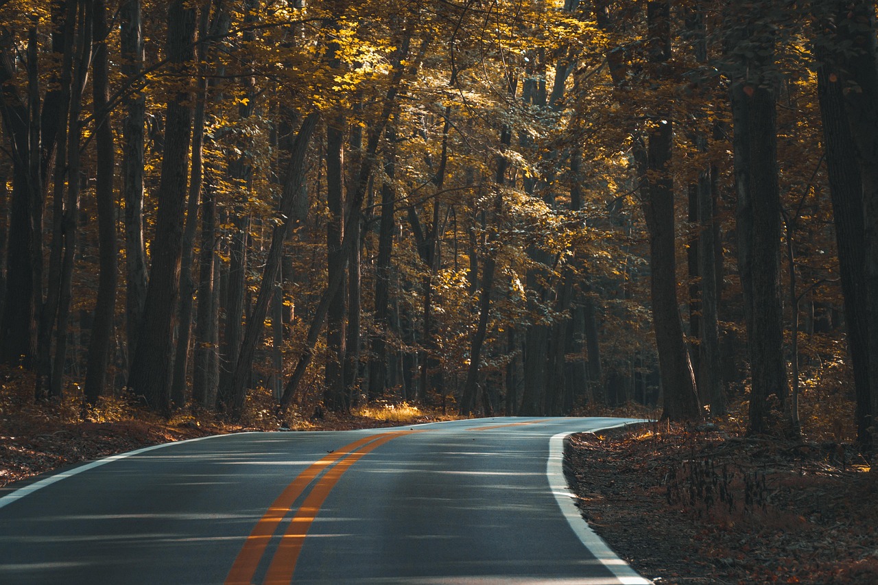 entdecken sie alles über autobahnen: geschichte, bau, verkehrssicherheit und aktuelle entwicklungen auf den deutschen highways.