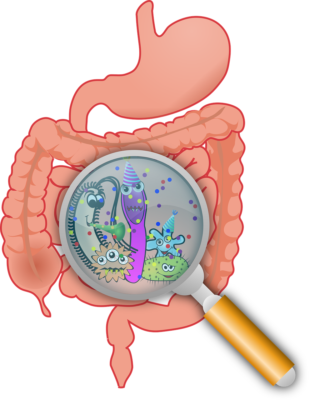 erfahren sie alles über darmgesundheit: tipps, ernährung und lebensstil für ein gesundes verdauungssystem.