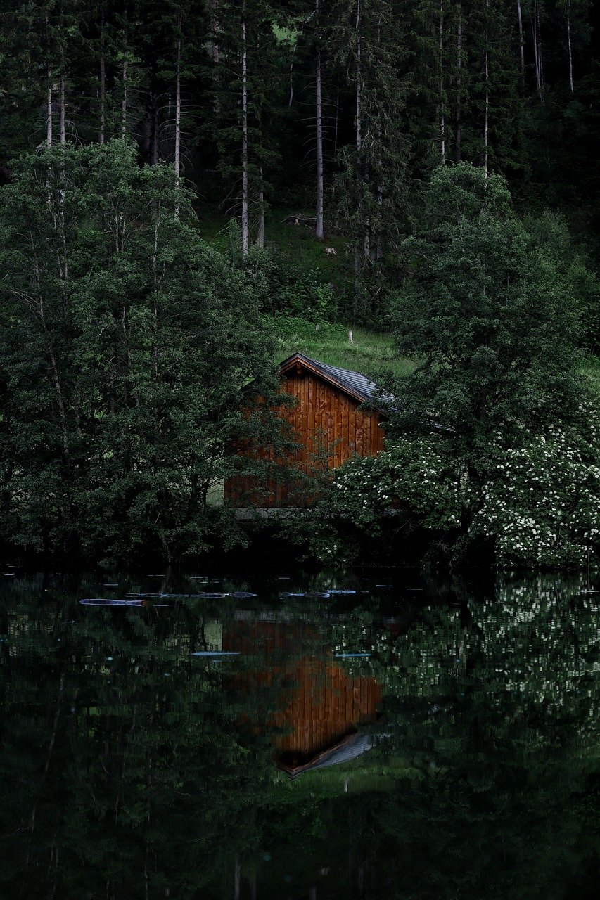 entdecken sie die schönheit der natur mit faszinierenden landschaften, vielfältiger flora und fauna sowie atemberaubenden erlebnissen im freien. lassen sie sich von der faszination der natürlichen welt inspirieren!