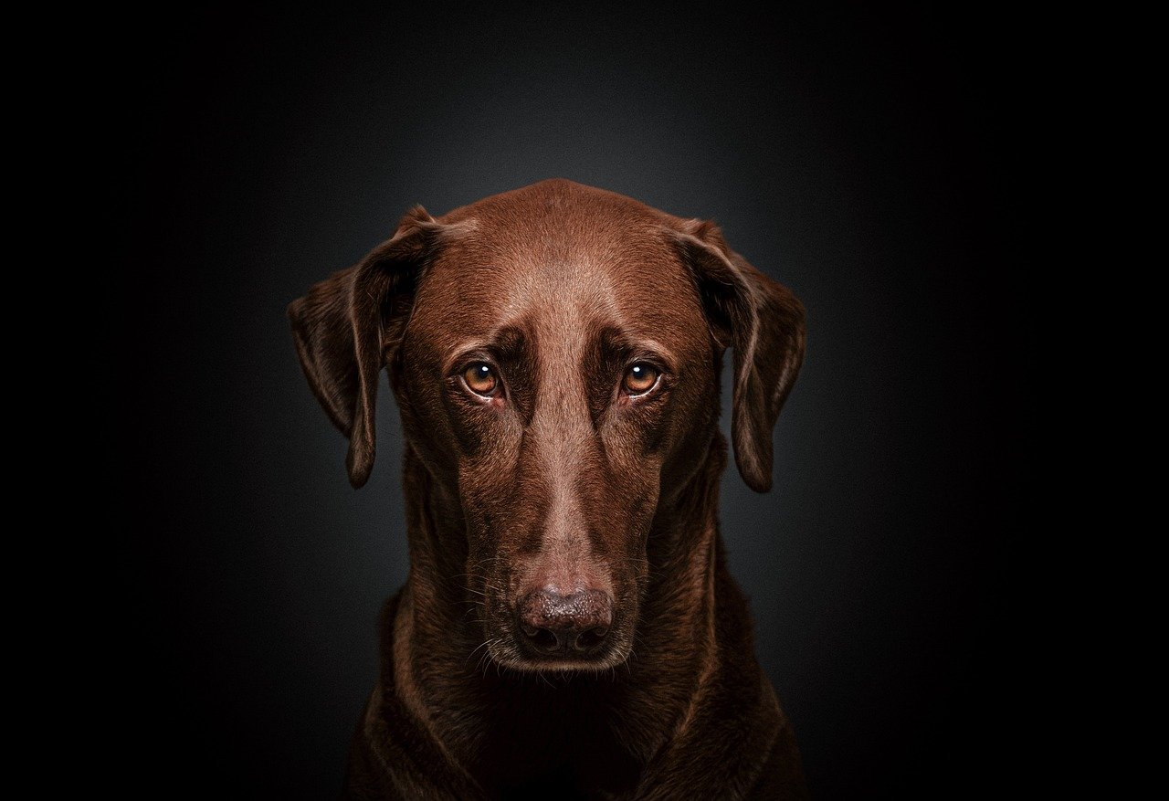 entdecken sie die welt des raw-doggings: erfahren sie mehr über diese aufregende lebensweise und die damit verbundenen risiken. unsere umfassenden artikel bieten wertvolle informationen über sicherheit, gesundheit und die verschiedenen perspektiven zu diesem thema.