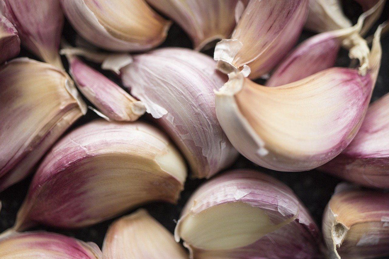 entdecken sie die kunst des gesunden kochens mit köstlichen rezepten, die nährstoffe und geschmack vereinen. erfahren sie, wie sie gesunde zutaten nutzen, um schmackhafte gerichte für die ganze familie zuzubereiten.