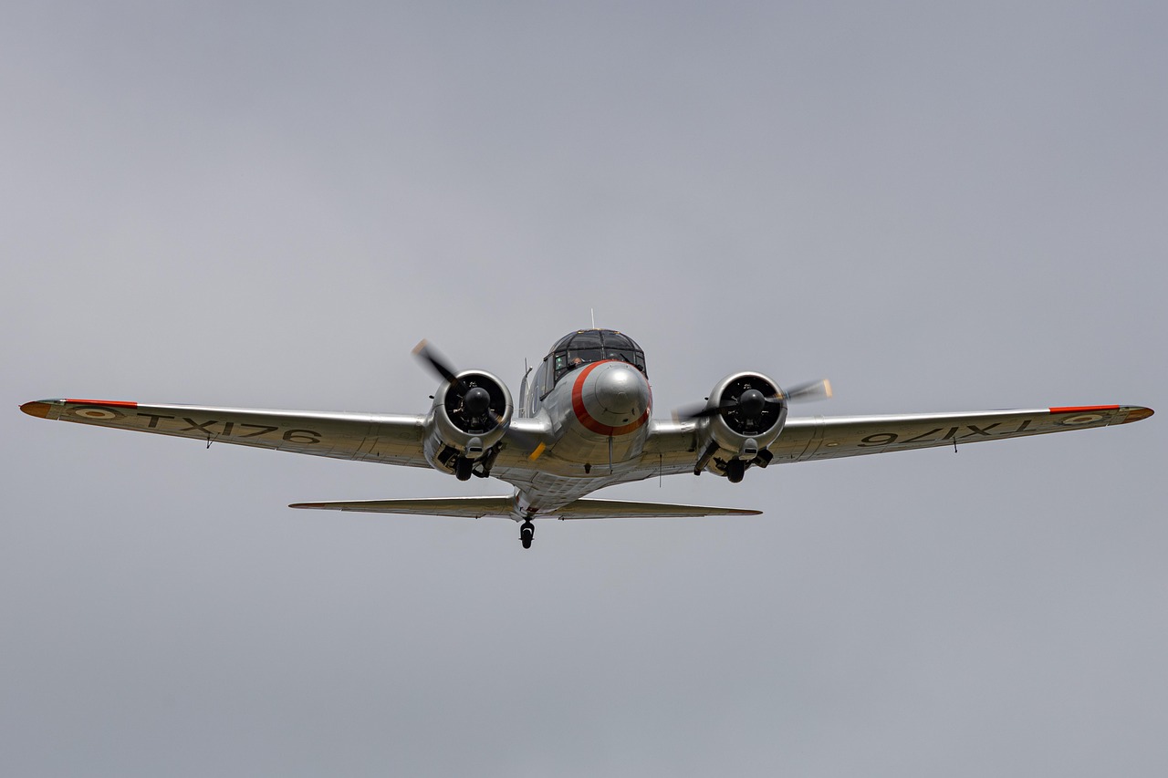 erleben sie köstliches flugzeugessen: tipps, rezepte und bewertungen für mahlzeiten an bord.