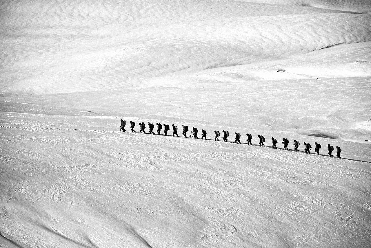 entdecken sie die aufregende welt der expeditionen! erleben sie unvergessliche abenteuer in atemberaubenden landschaften und tauchen sie in neue kulturen ein. unsere maßgeschneiderten expeditionen bieten ihnen die möglichkeit, die natur hautnah zu erleben und neue horizonte zu erweitern.