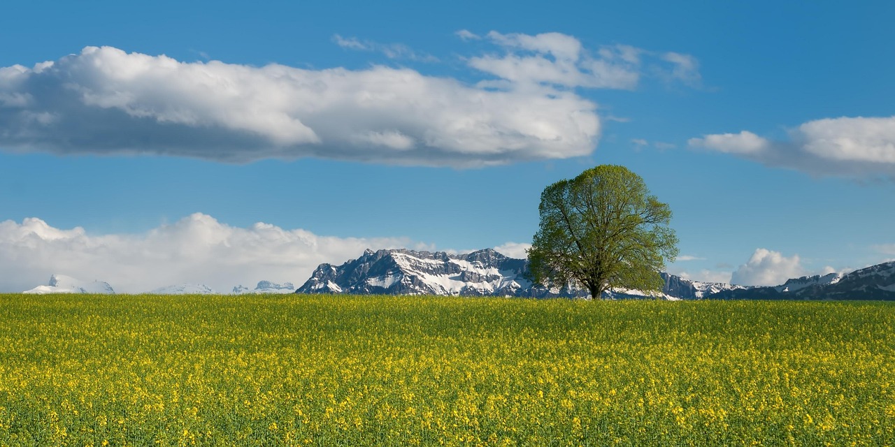 entdecken sie die vorteile von pilates für körper und geist: stärkung der muskulatur, verbesserung der flexibilität und förderung des wohlbefindens.