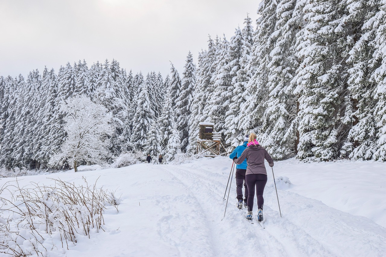 entdecken sie die faszination des skifahrens: tipps, ausrüstung und die besten skigebiete für anfänger und profis.