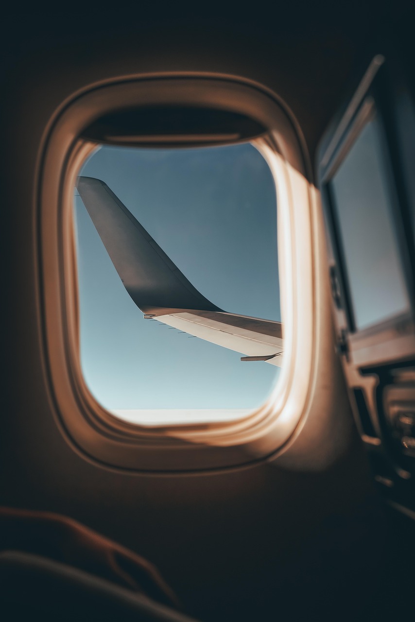 erleben sie leckeres flugzeugessen mit unseren tipps und empfehlungen für mahlzeiten an bord. entdecken sie, wie sie ihre reise kulinarisch genießen können.