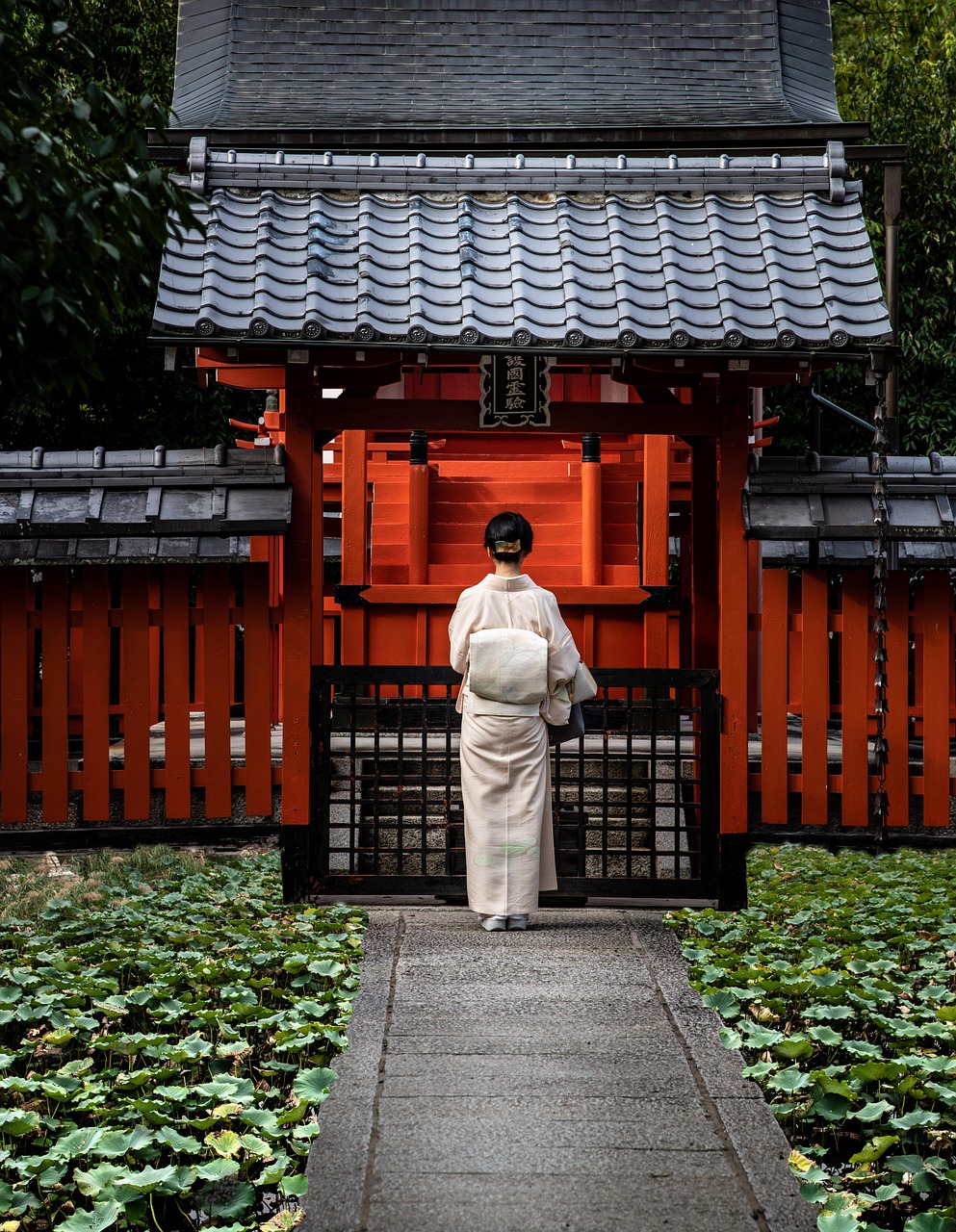 entdecken sie das japan festival – ein feuerwerk der japanischen kultur mit traditionellem essen, kunst, musik und faszinierenden aktivitäten für die ganze familie.