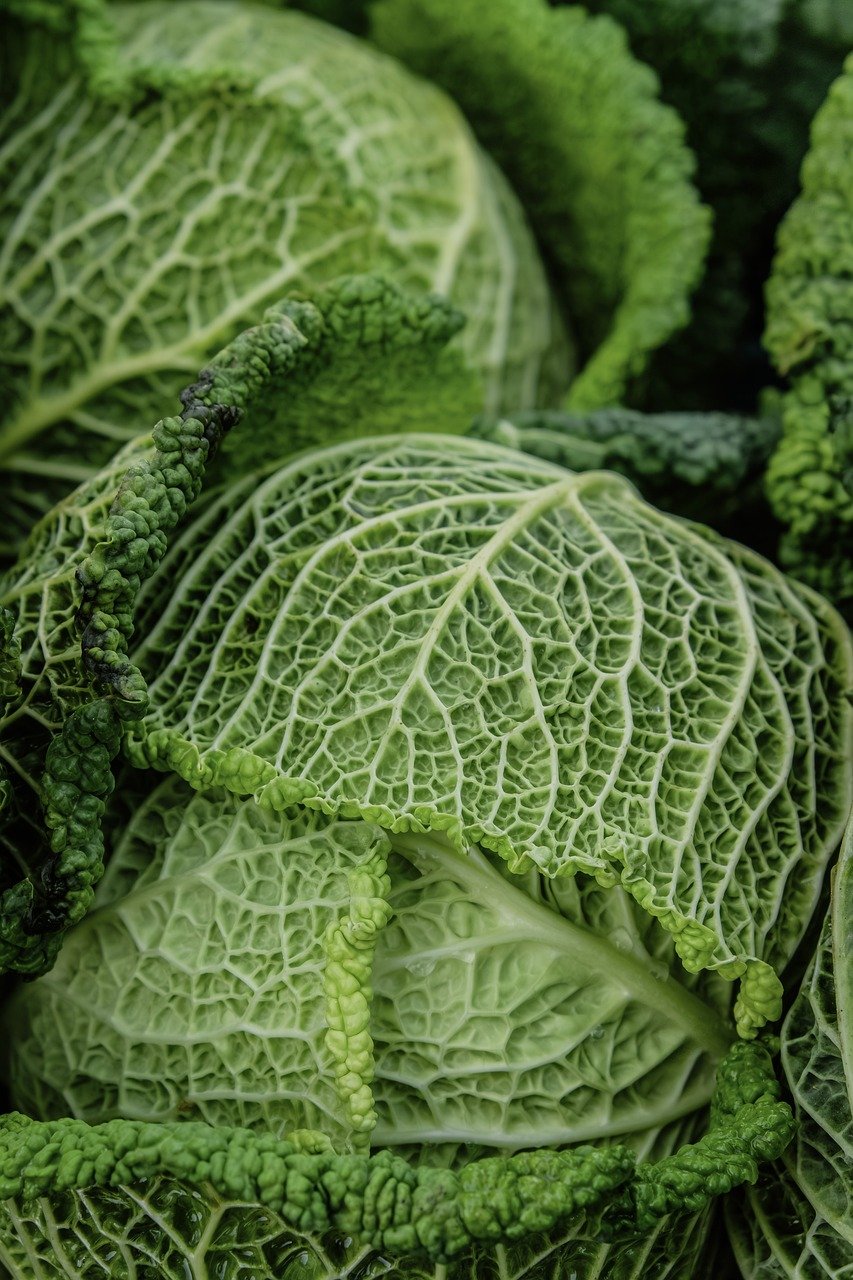 entdecken sie umfassende informationen und tipps zur optimalen ernährung für ein gesundes und ausgewogenes leben.