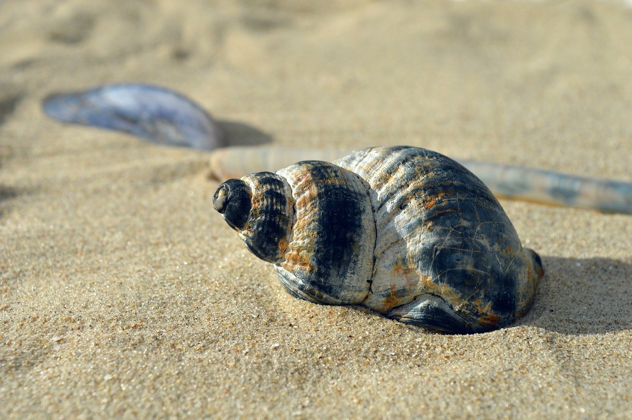Urlaub in der Schlecht-Wetter-Zone? So verwandeln Sie ungemütliche Tage in unvergessliche Erlebnisse!