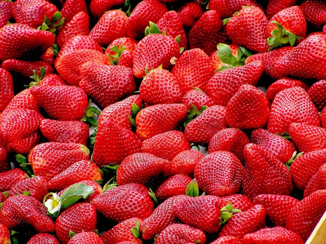 Gesunde Ernährung und Getränke: Tipps einer Ernährungsberaterin zur Bekämpfung von Gewichtsproblemen und Krankheiten