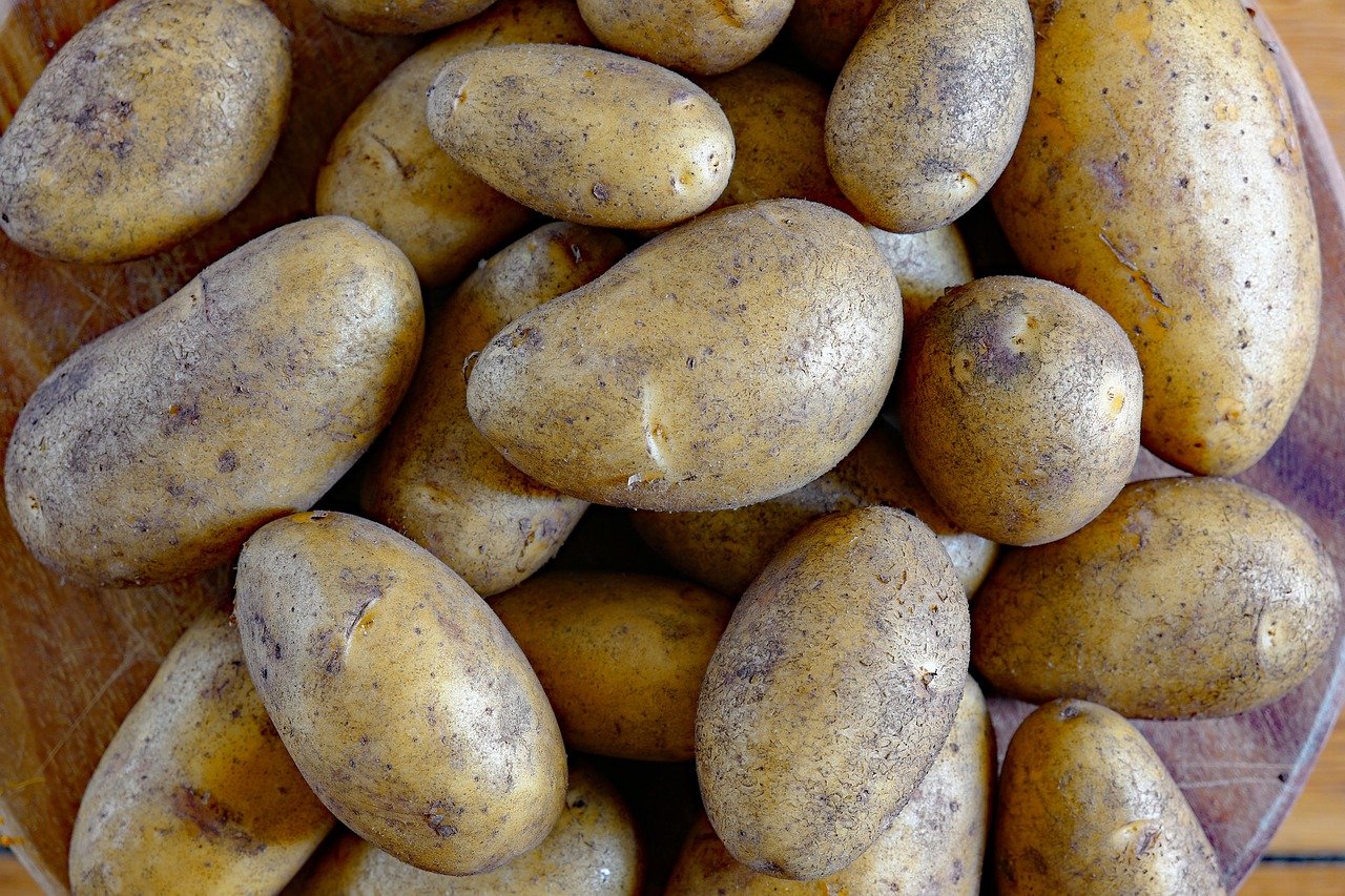 Vegetarismus und veganismus in der deutschen esskultur