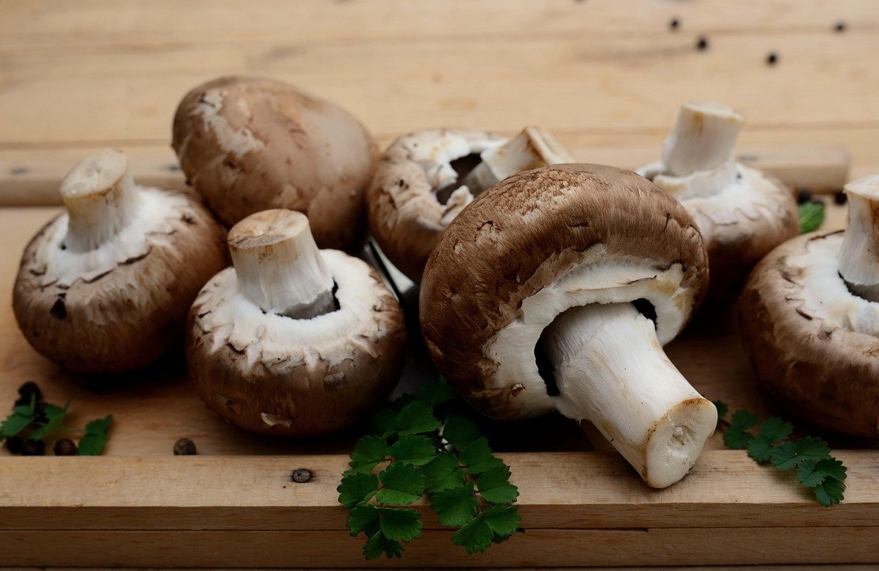 Vegetarische Superfoods, die Sie probieren sollten