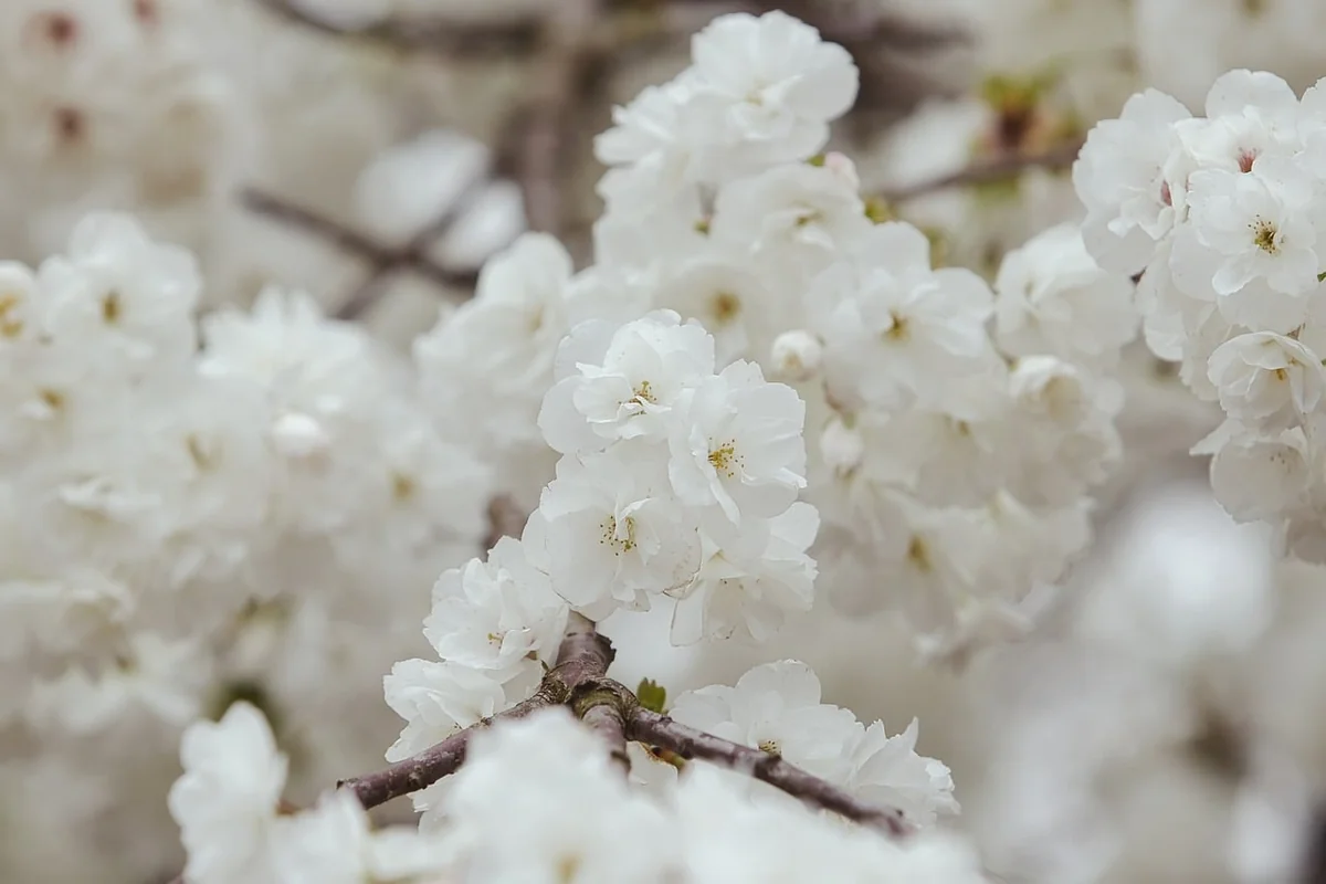 Mode Trends für Frauen im Frühling 2026: Die Must-haves der Saison