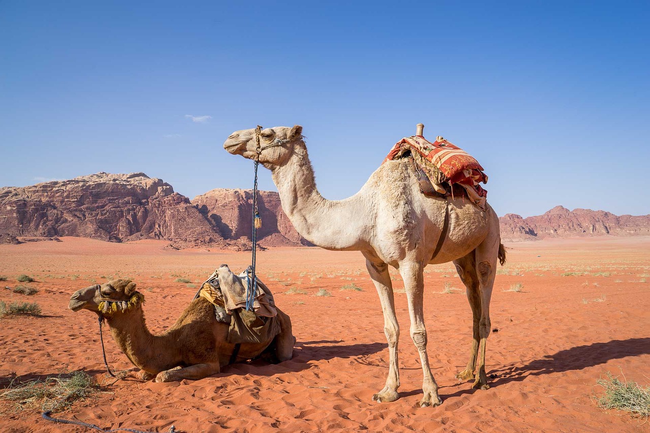 Eintauchen in versteckte Naturpools: Wadi-Erkundungstouren im Oman