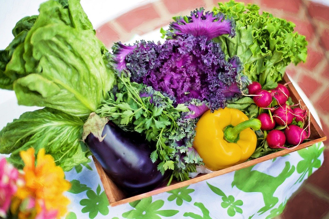 Gardening: the art of cultivating joy