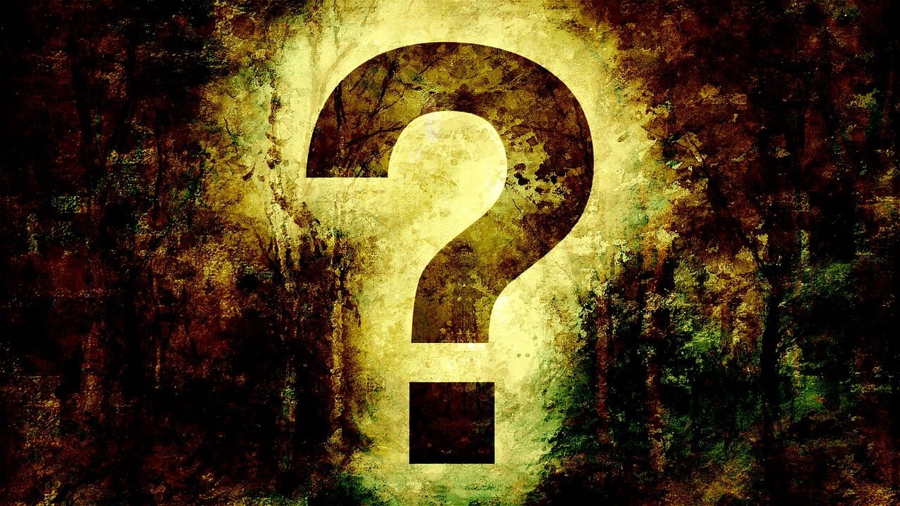 spannende Quizfragen für deinen Sonntag: Ideal zur Verbesserung deines Allgemeinwissens!