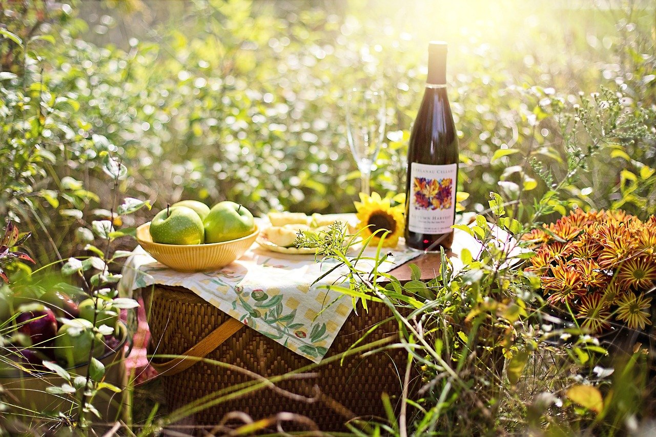 Essen und trinken in der natur: picknicks und mehr