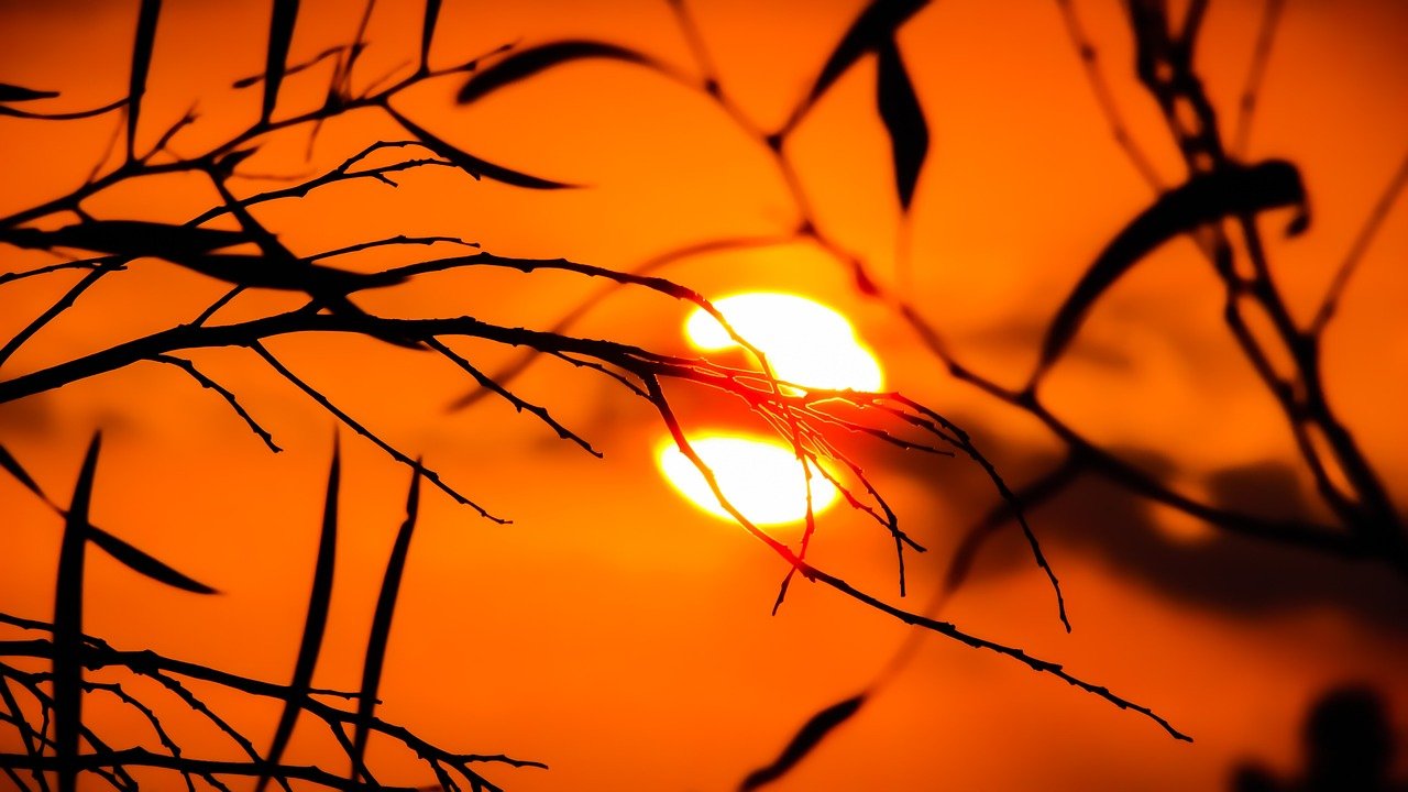 Die Wirkung von Sonne auf die Gesundheit