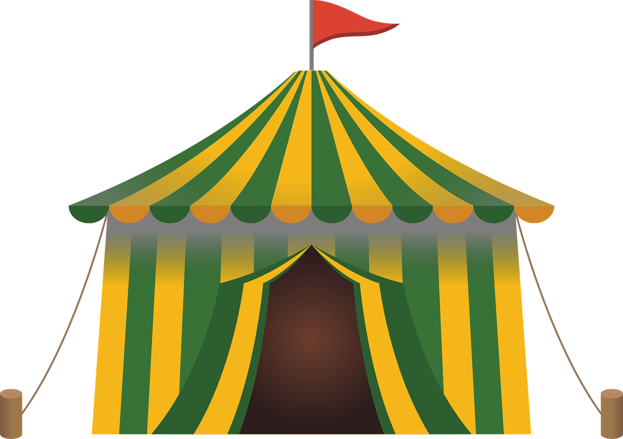 Die Qualen von Wildtieren im Zirkus: Ein Blick hinter die Kulissen