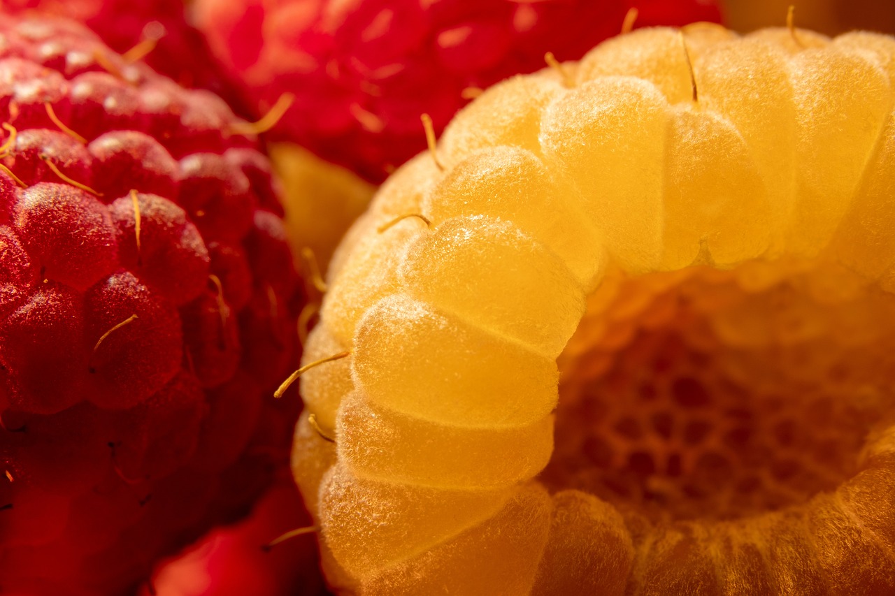 Erfrischende Ernährungstipps für heiße Tage: Was sollte man bei Hitze essen?