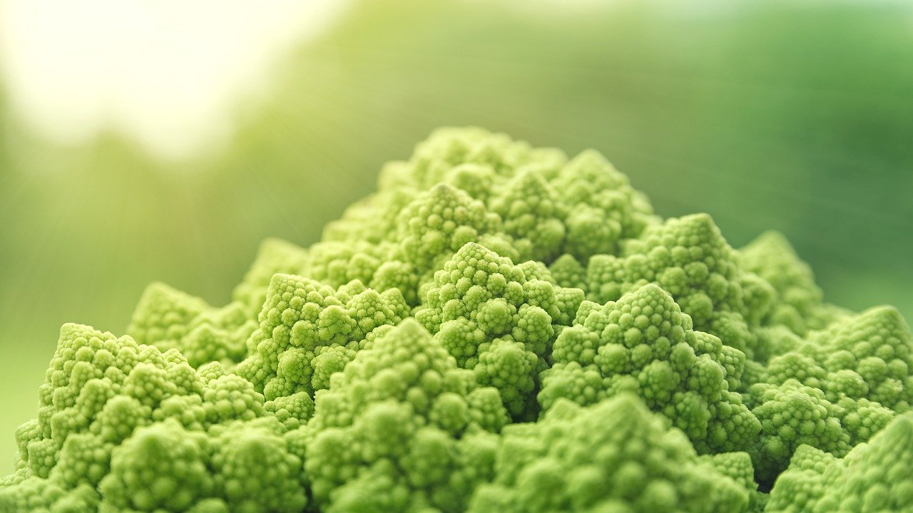 Der trend zu veganer ernährung im hobbymilieu