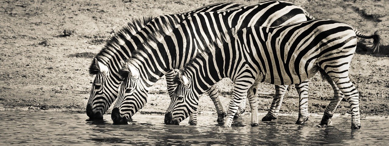 Trinkwasser: Die unsichtbare Quelle der Gesundheit