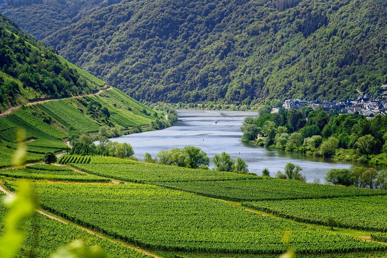 Sperrung der Mosel nach Unfall: Auswirkungen auf Flusskreuzfahrten