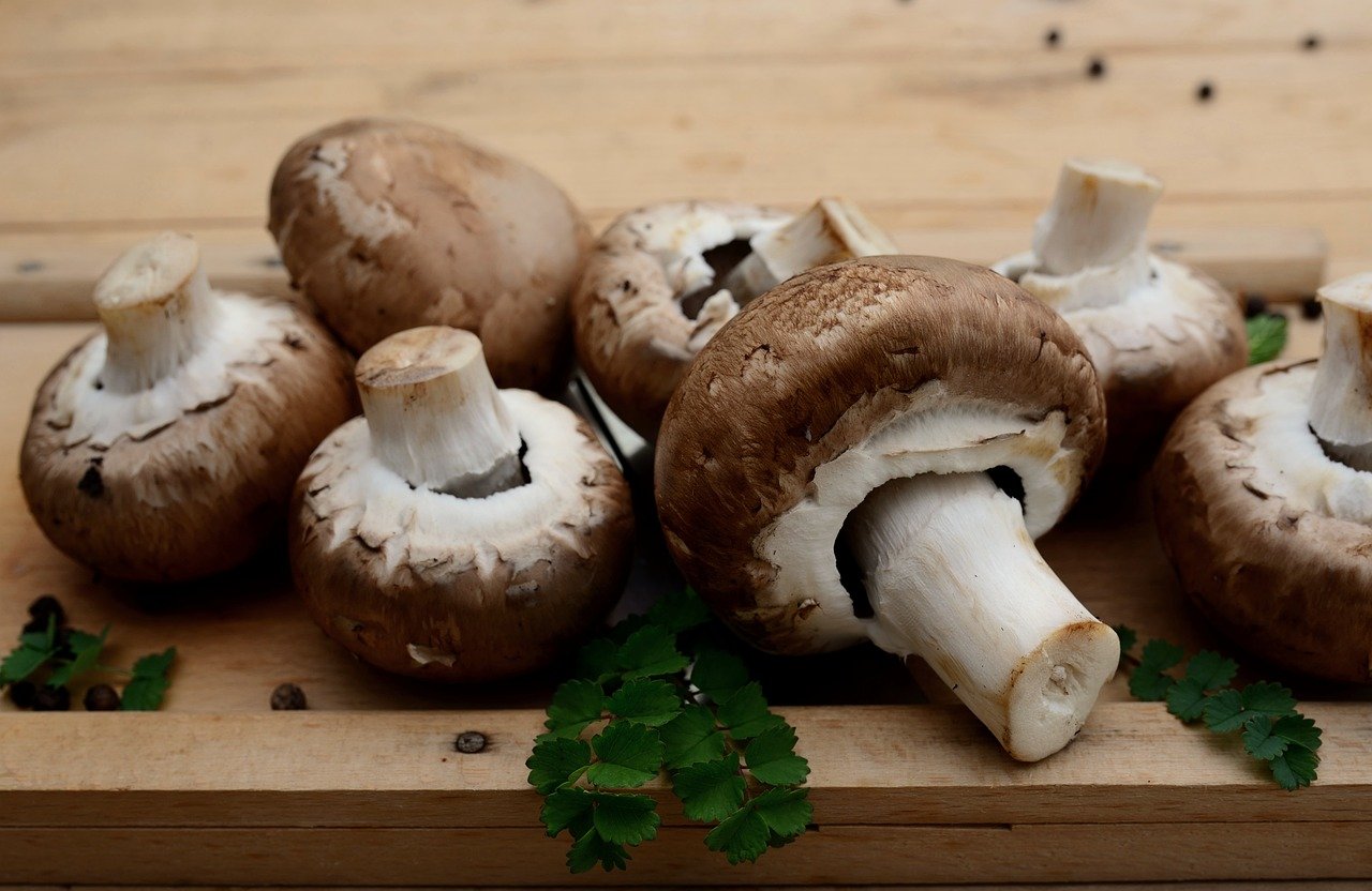 Vegetarische Alternativen für beliebte Gerichte
