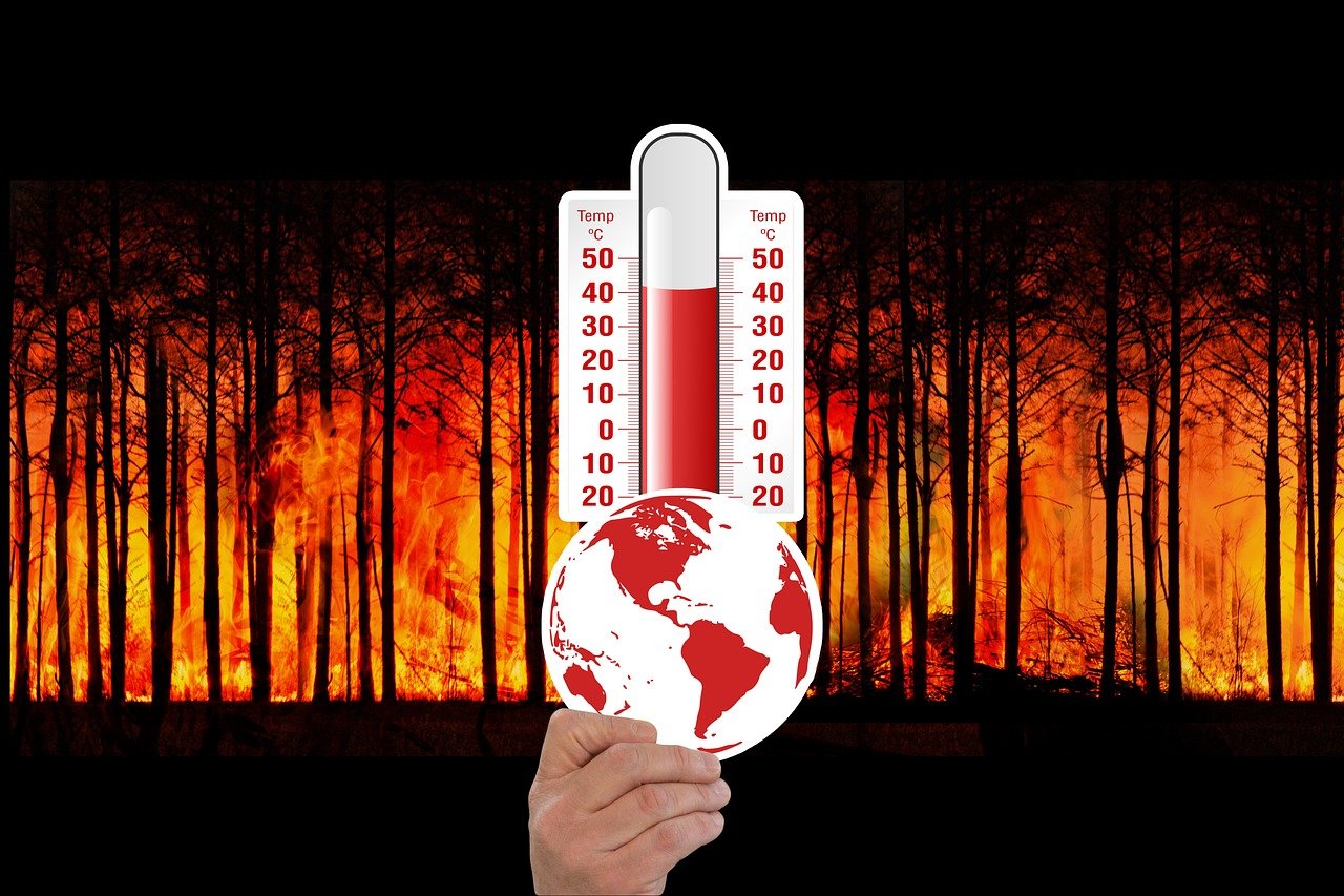Experimentieren mit feriengerichten: globale inspitation