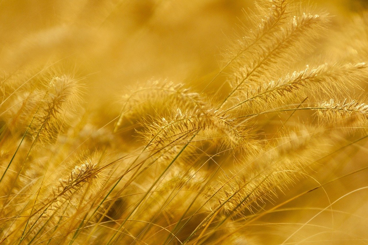 Wittener Unternehmer entdeckt in seiner Freizeit das Goldgräberfieber