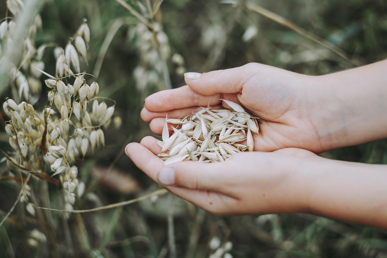 frische ernährungsrichtlinien für ein gesünderes leben und den schutz unserer umwelt