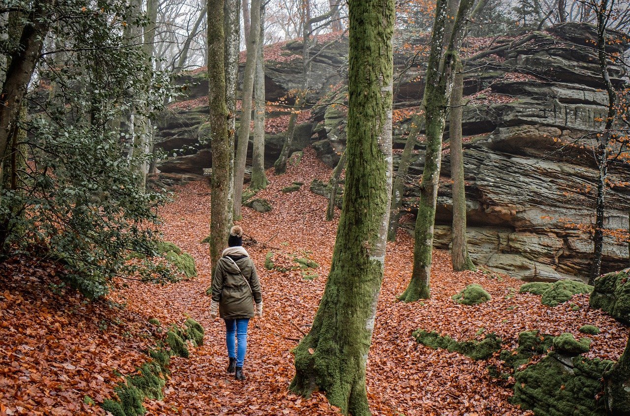 Wanderreisen: entdecke die natur zu fuß