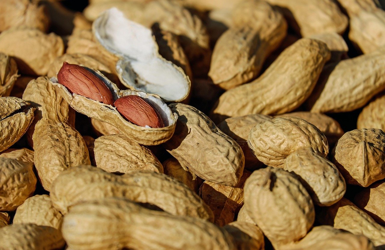 Schmecken der Vergangenheit: Kulinarische Erlebnisse aus der Tito-Ära