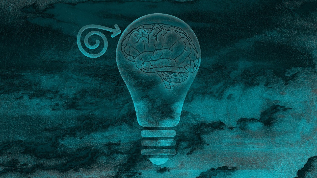 Neurowissenschaftliche Einblicke: Die besonderen Merkmale von Menschen mit umfangreichem Allgemeinwissen