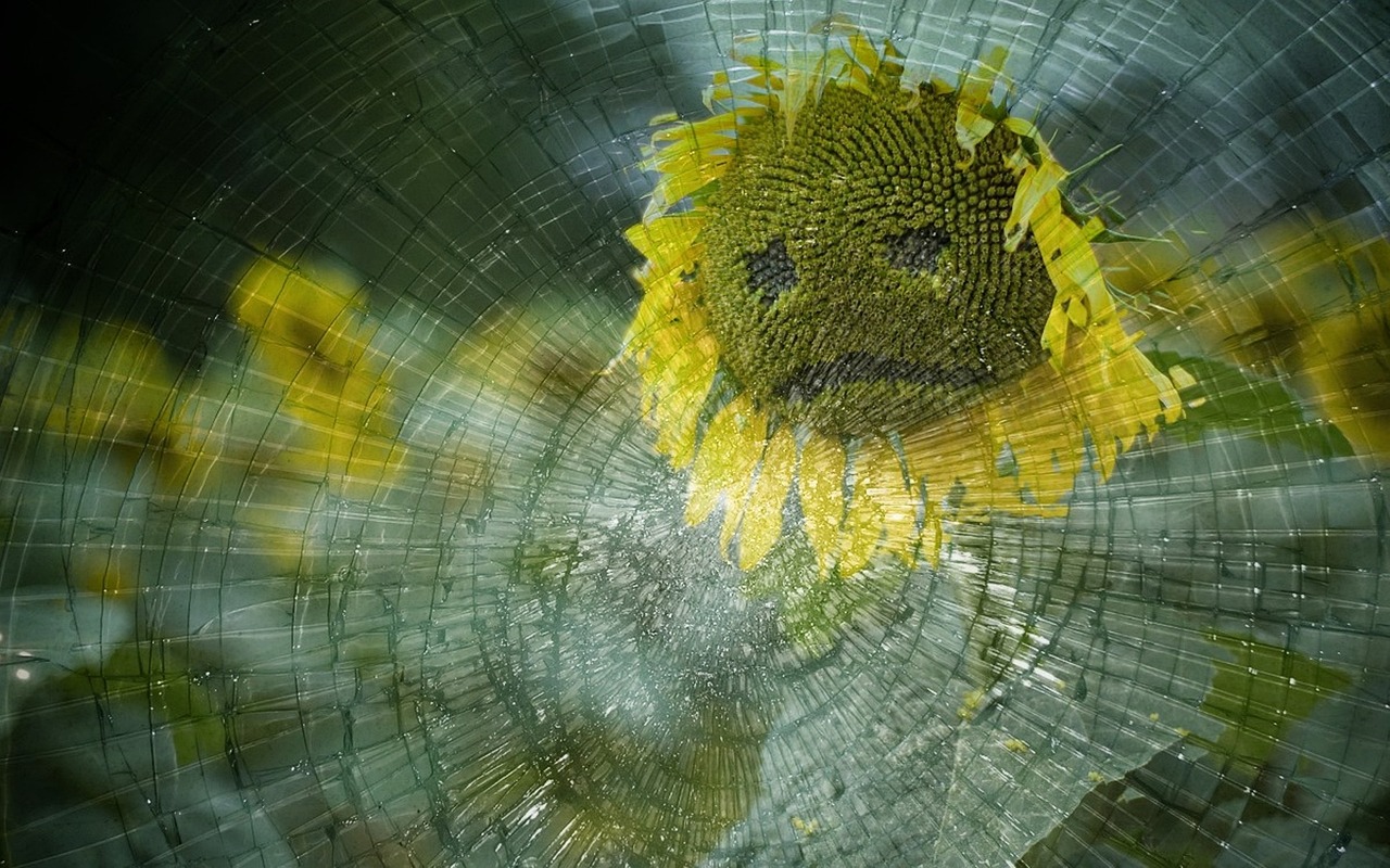 Das Sonnenblumen-Symbol erobert zunehmend deutsche Flughäfen